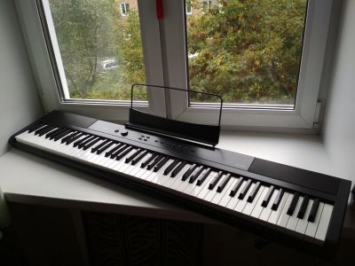 Лот: 16608213. Фото: 1. Artesia PA-88W - Цифровое фортепиано... Клавишные