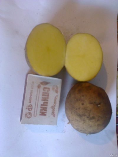 Лот: 13557991. Фото: 1. картофель семенной Ярла. Картофель
