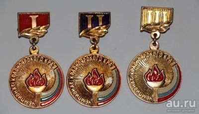 Лот: 8808421. Фото: 1. Комплект знаков на подвеске: Чемпионат... Сувенирные