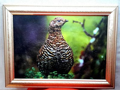 Лот: 10439775. Фото: 1. Картина на холсте"Куропатка".Торг... Холсты чистые