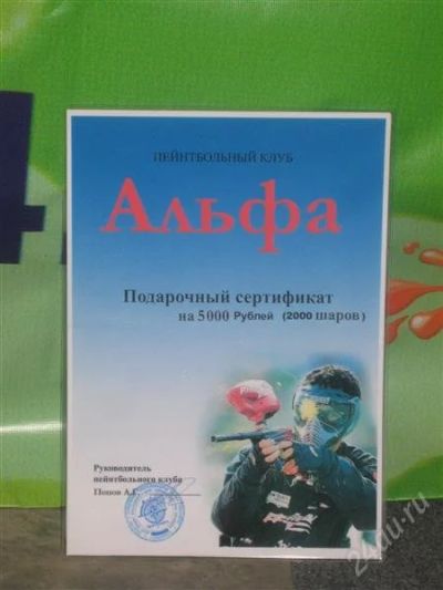 Лот: 1685386. Фото: 1. сертификат на игру в пейнтбол. Подарочные сертификаты, купоны, промокоды