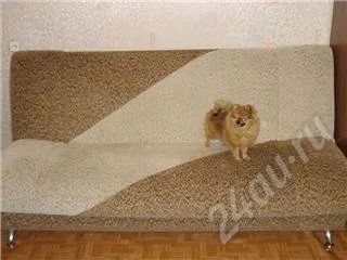 Лот: 606061. Фото: 1. диван 3000 рублей. Гостиные, стенки, горки