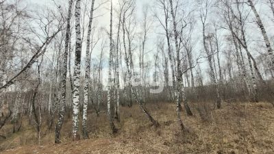 Лот: 25296049. Фото: 1. участок , садоводческое некоммерческое... Земельные участки