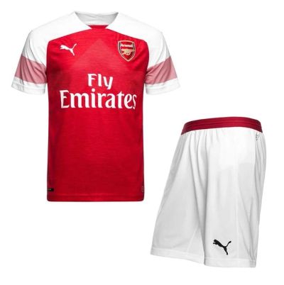 Лот: 12531532. Фото: 1. Футбольная форма Puma FC Arsenal... Форма