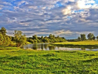 Лот: 5571106. Фото: 1. Участок 20 сот. в ДНТ "Устье". Земельные участки