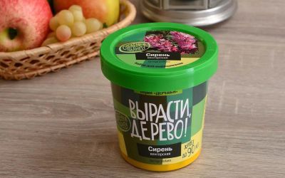Лот: 12720143. Фото: 1. Вырасти дерево: Сирень венгерская. Настольные игры, карты