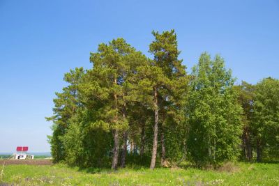 Лот: 7857225. Фото: 1. Срочно продам земельный участок... Земельные участки