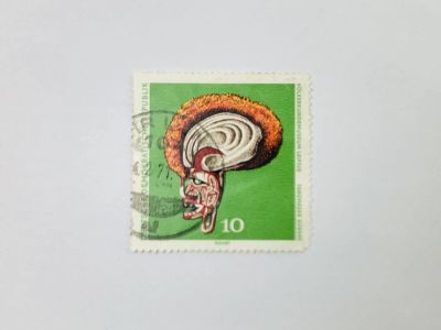 Лот: 23594141. Фото: 1. Музей этнологии: Выставки. Танцевальная... Марки