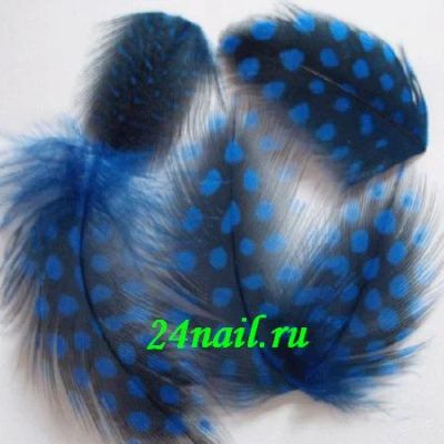 Лот: 3427234. Фото: 1. Перья для дизайна ногтей-12*. Украшения, дизайн ногтей