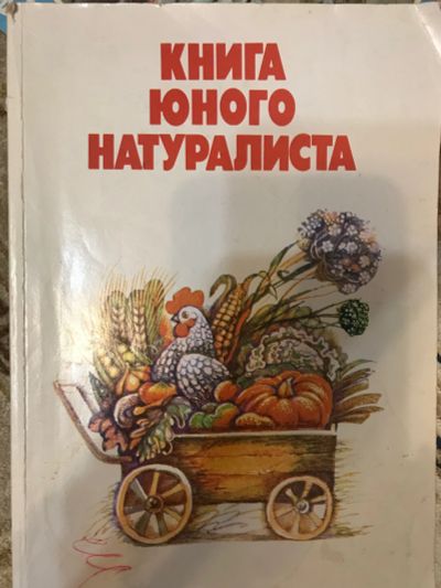 Лот: 18409194. Фото: 1. Книга юного натуралиста . СссР... Книги