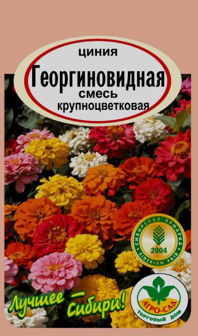 Лот: 12984923. Фото: 1. Семена циннии "Георгиновидная... Садовые цветы