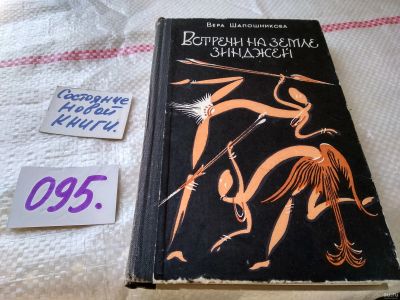 Лот: 18483771. Фото: 1. Шапошникова В. Встречи на земле... Путешествия, туризм