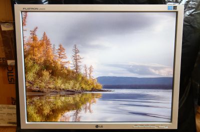 Лот: 24989104. Фото: 1. Монитор LG L2000CN-SF. ЖК-мониторы