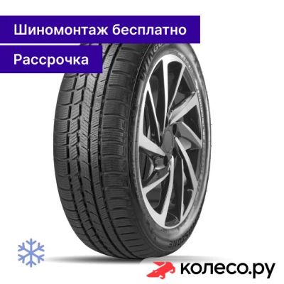 Лот: 25102904. Фото: 1. Winguard Sport 205/55 R16 94V. Шины