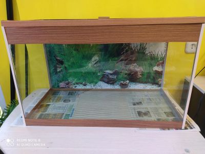 Лот: 18350414. Фото: 1. Аквариум 100 л. ( 71 х 33 х 45... Аквариумы, террариумы