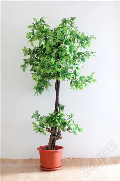 Лот: 474138. Фото: 1. дерево, искусственное (высота... Другое (растения и животные)