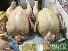Лот: 18257433. Фото: 1. Курица домашняя бройлер 3.5 кг. Мясо, птица, яйцо