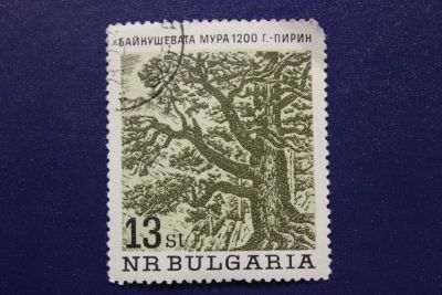 Лот: 8530505. Фото: 1. Почтовая марка №6212 в коллекцию. Марки