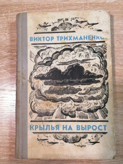 Лот: 16706467. Фото: 1. Крылья на вырост. Виктор Трихманенко. Художественная