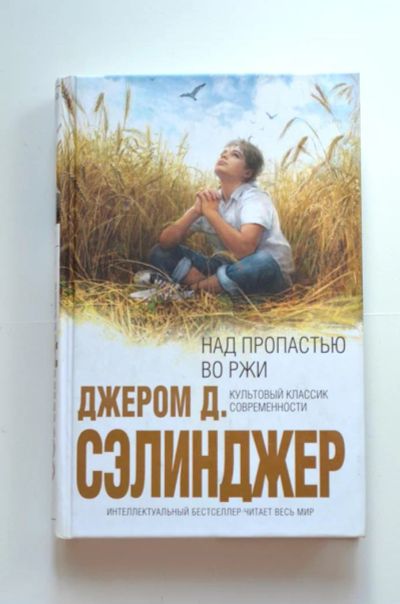 Лот: 8235429. Фото: 1. Джером Д. Сэлинджер - над пропастью... Художественная