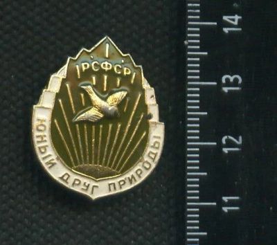 Лот: 16394665. Фото: 1. ( № 5830 ) значки,Юный друг природы. Сувенирные