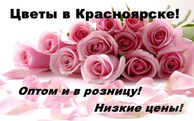 Лот: 1866633. Фото: 1. Цветы в Красноярске! Низкие цены... Другое (растения и животные)