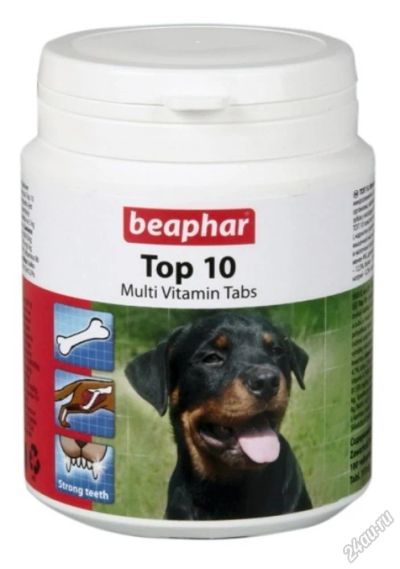 Лот: 5685151. Фото: 1. Пищевая добавка Beaphar Top 10... Косметика для животных