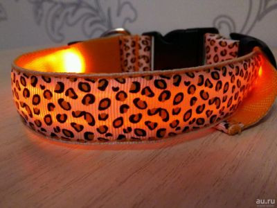 Лот: 9171741. Фото: 1. Ошейник для собак светящий(LED... Ошейники, одежда, конное снаряжение