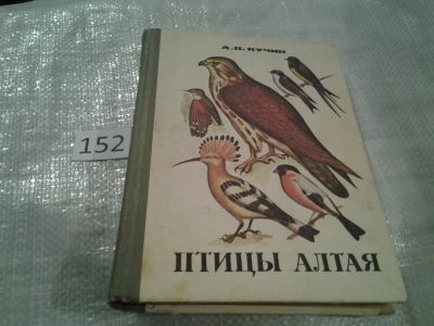 Лот: 6641390. Фото: 1. Птицы Алтая, Кучин А. П. (152). Биологические науки