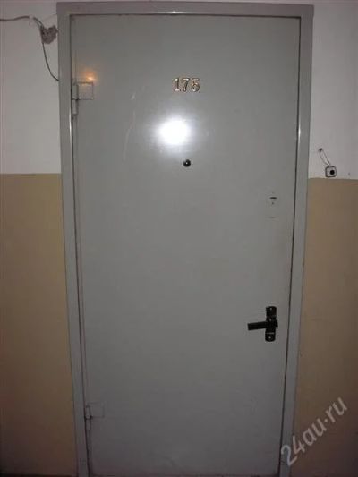 Лот: 1218643. Фото: 1. Дверь железная. Фурнитура, комплектующие