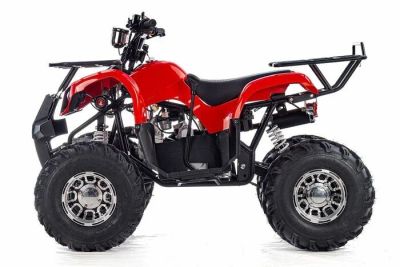 Лот: 18963910. Фото: 1. Квадроцикл RAPTOR MAX PRO 150. Снегоходы, квадроциклы