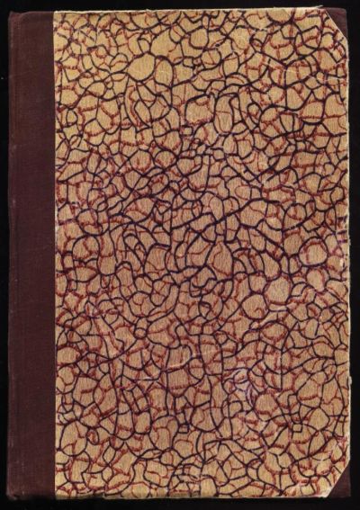 Лот: 5077477. Фото: 1. Шота Руставели * Витязь в тигровой... Книги