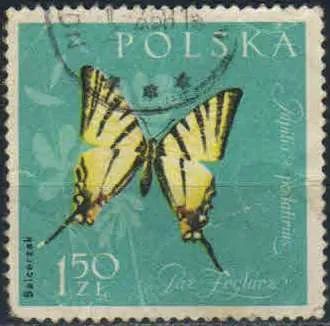 Лот: 21423174. Фото: 1. 1961. Польша. Бабочки. н.с... Марки