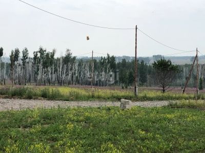 Лот: 24969972. Фото: 1. Продам участок 11 сот. Северо-Енисейский... Земельные участки