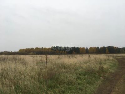 Лот: 25292631. Фото: 1. участок , Сосновоборск Сосновоборск... Земельные участки