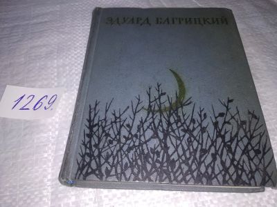 Лот: 19628058. Фото: 1. Багрицкий Э.Г. Стихи и поэмы... Художественная