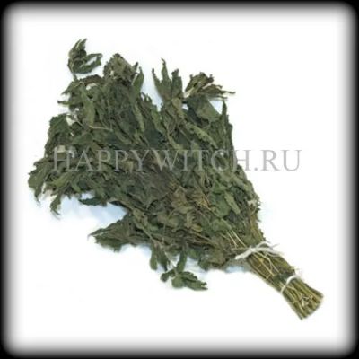 Лот: 22035678. Фото: 1. Пучок крапивы. Другое (сувениры, подарки)