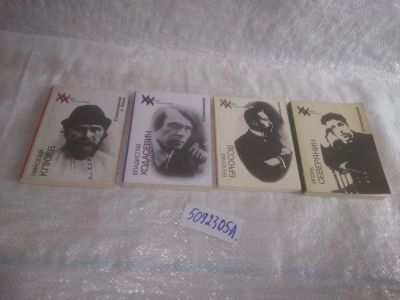 Лот: 25780737. Фото: 1. ок.(5092305А) Серия "XX век: Поэт... Художественная