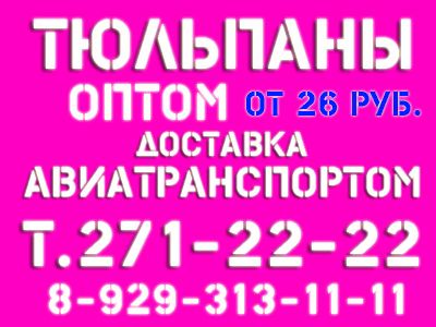 Лот: 6893642. Фото: 1. Тюльпаны !В наличии! оптом от... Другое (готовый бизнес)