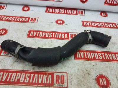Лот: 20900878. Фото: 1. Шланг радиатора Toyota Premio... Двигатель и элементы двигателя
