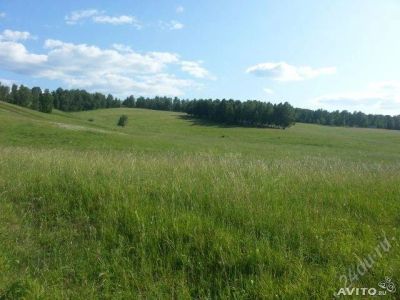 Лот: 3024566. Фото: 1. земельный участок кузнецова,за... Земельные участки