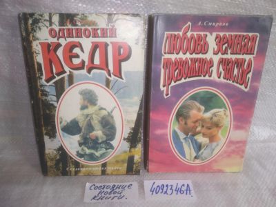 Лот: 25720008. Фото: 1. озр...вбр (4092346А) А. Сергеев... Художественная