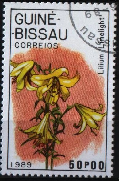 Лот: 6959478. Фото: 1. Гвинея-Биссау 1989г флора. Марки