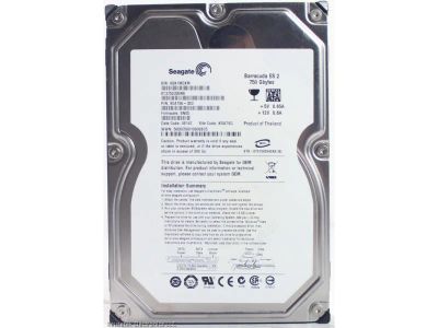 Лот: 3970197. Фото: 1. Жесткий диск 750 GB Seagate ST3750330NS. Жёсткие диски