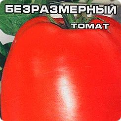 Лот: 3937244. Фото: 1. Томат (помидоры) Безразмерный... Другое (семена, рассада, садовые растения)