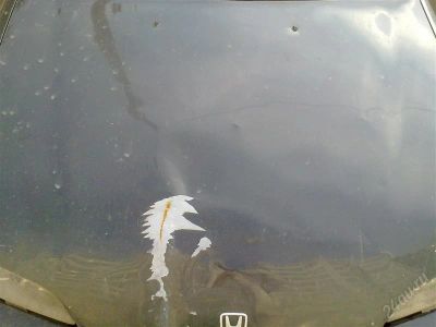 Лот: 2056465. Фото: 1. Капот на Honda Civic, седан, кузов... Кузов