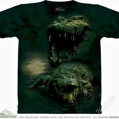 Лот: 1880866. Фото: 1. футболка mountain "dark gator". Футболки, поло
