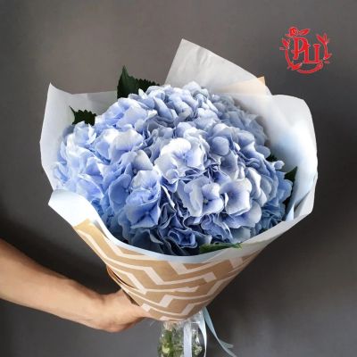 Лот: 14171586. Фото: 1. Лот № 795 Букет из 3 гортензий... Свежие цветы