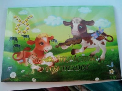 Лот: 4743554. Фото: 1. Папка для Свидетельства о рождении... Другое (дети растут)