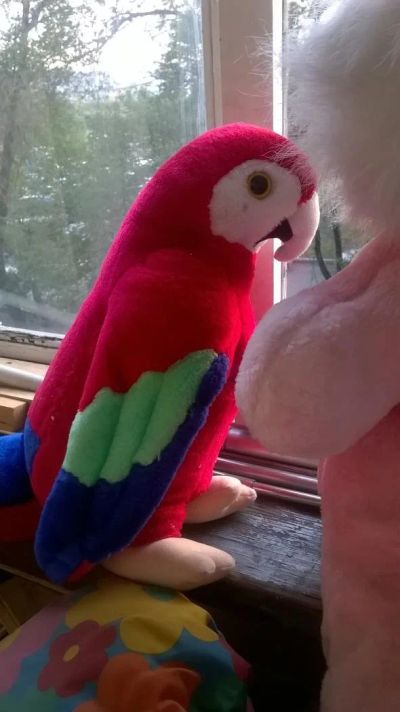 Лот: 10512565. Фото: 1. Попугай. Мягкие